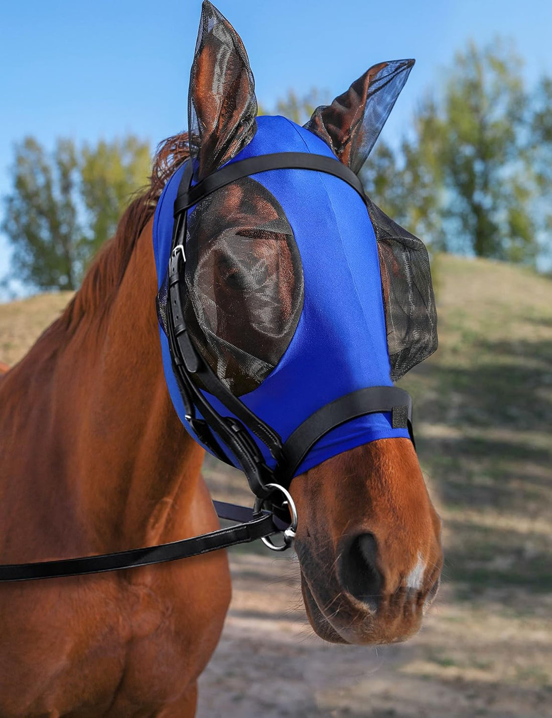Horse Fly Mask with Ears, Fly Mask for Horses, Breathable Mesh