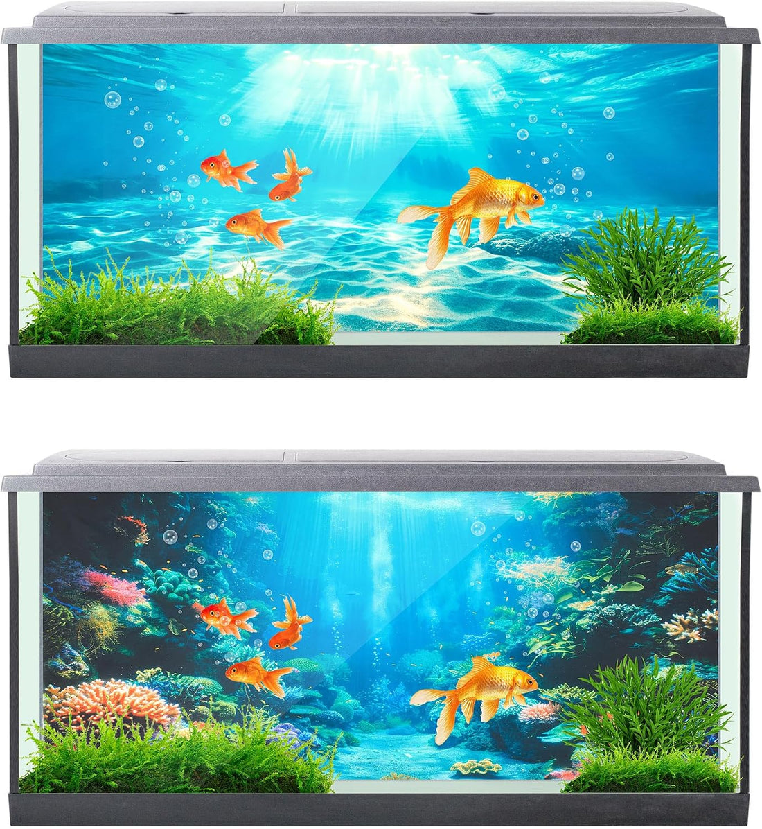 Mindsoft 4 Pack Aquarium Background