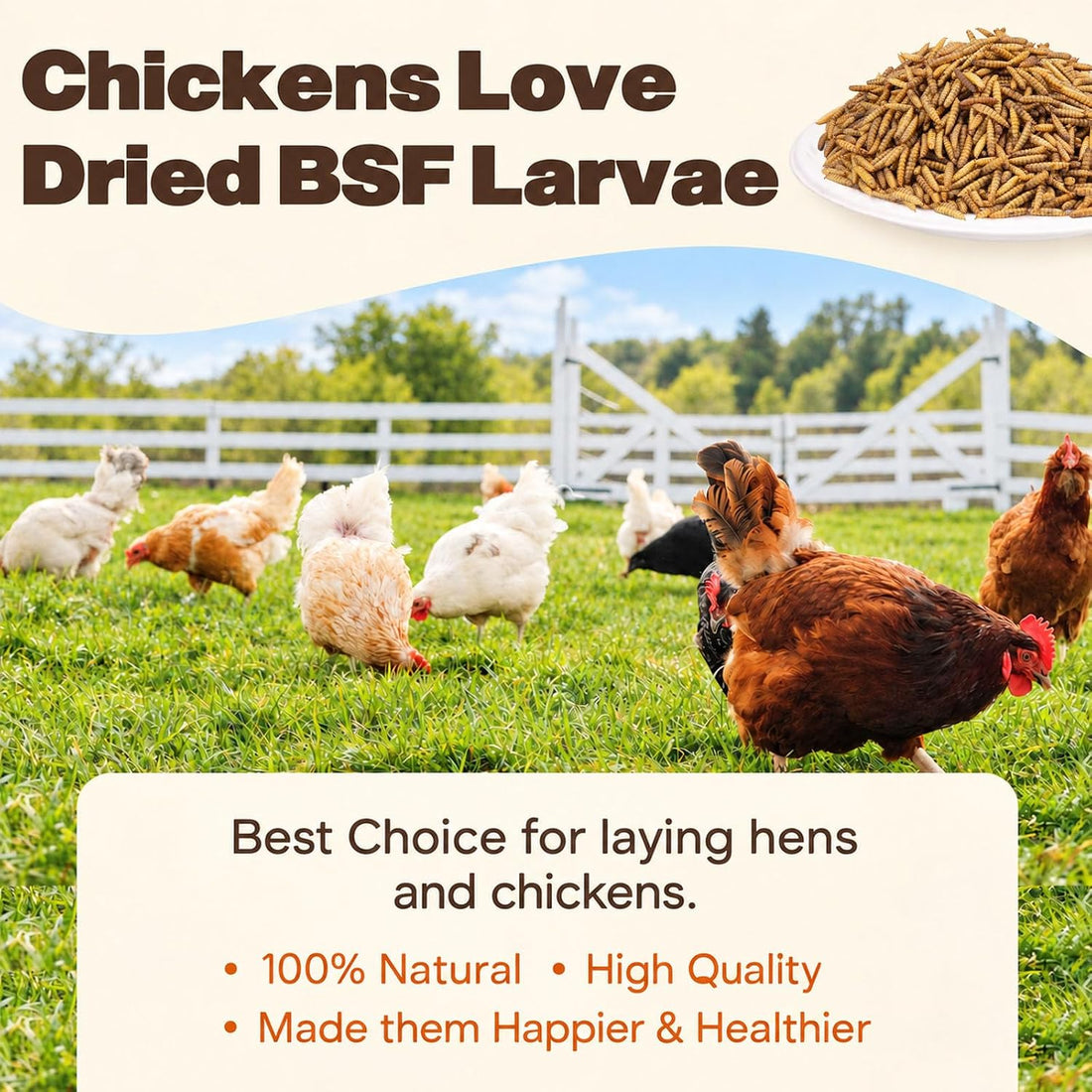 5LB Dried Black Soldier Fly Larvae for Chickens, Reptiles & Birds