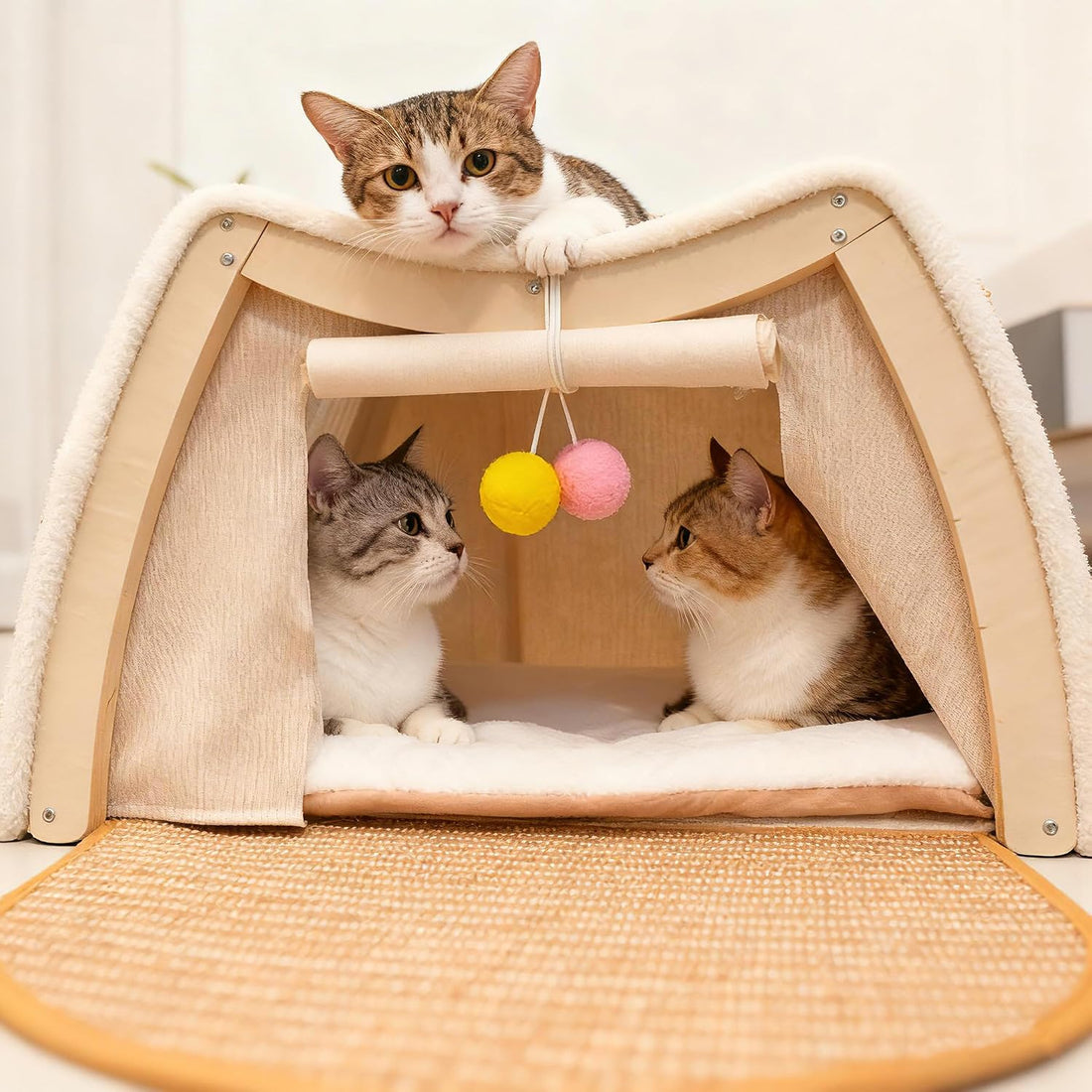 Cat Houses for Indoor Cats - 4 Seasons Cat Bed Cave with Natural