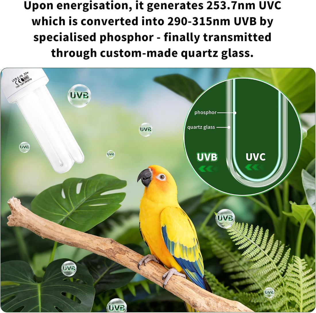 HarmonyHome Bird Cage UVB Light Combo Kit