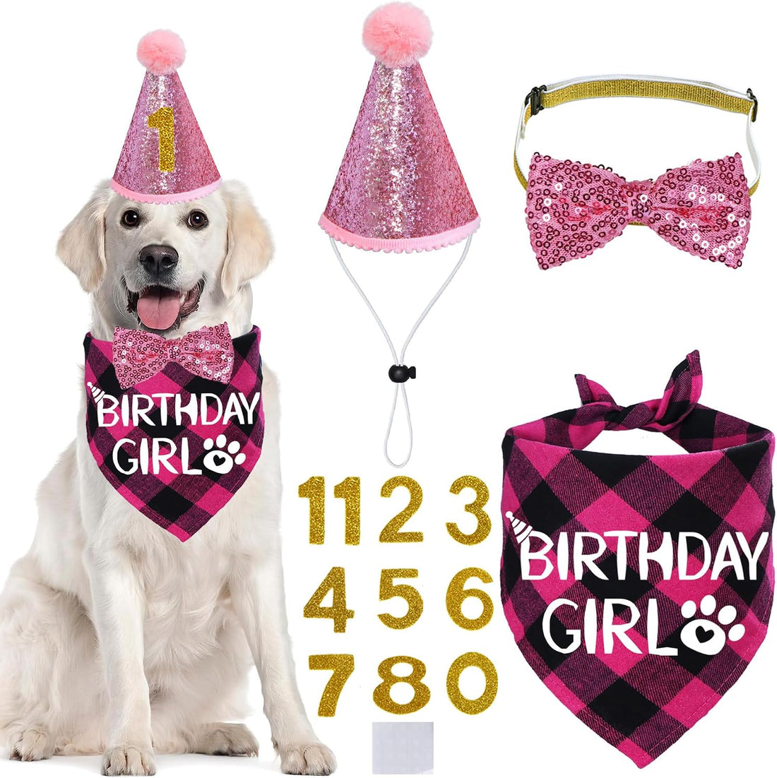 STMK Dog Birthday Party Supplies