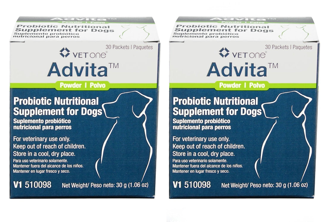 VetOne Advita Probiotic Nutritional Supplement for Dogs 2pack - 60ct