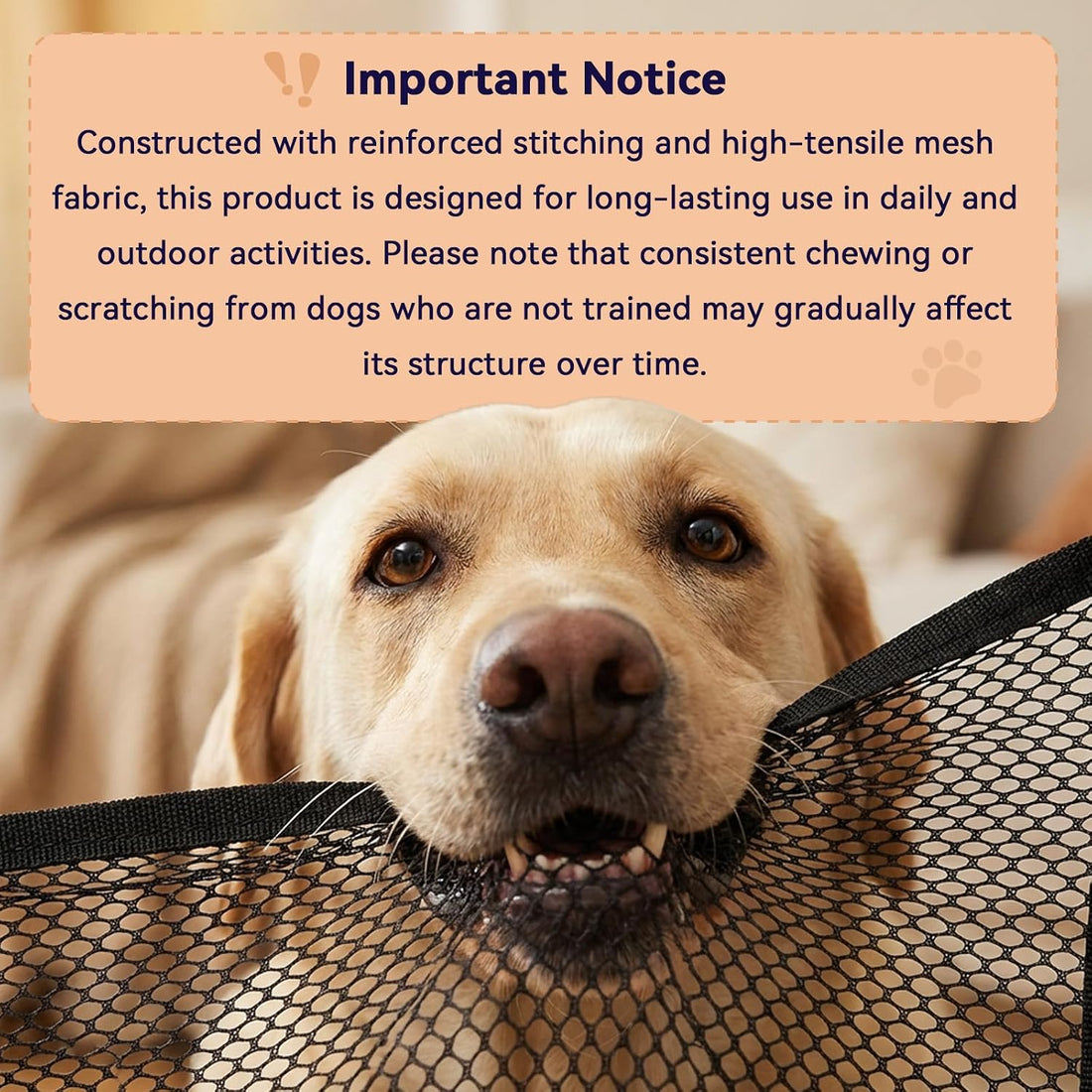 Medium Elevated Dog Crate with Removable Cover