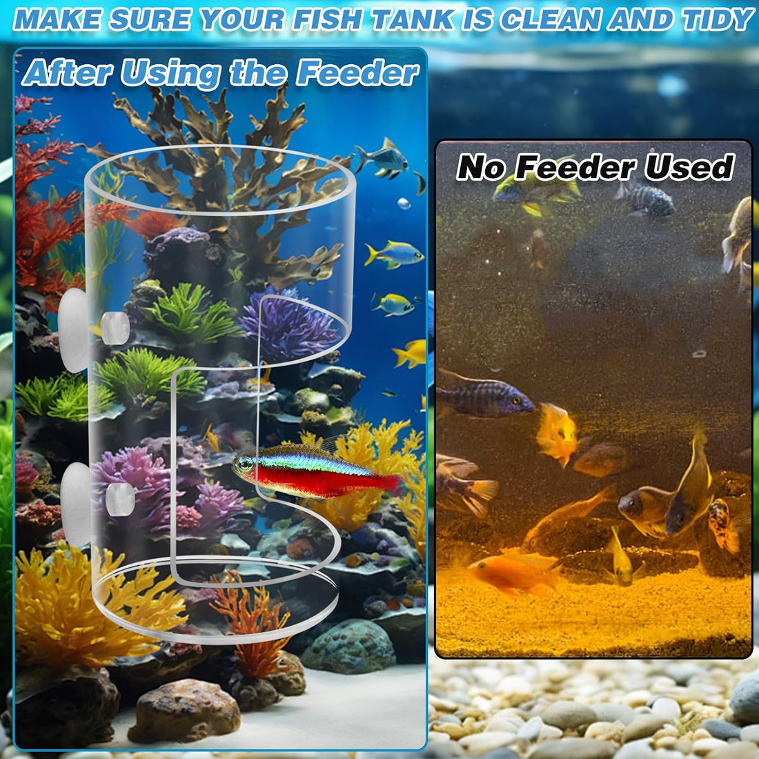 2Pcs Aquarium Fish Feeder Feeding Tray with Suction Cup