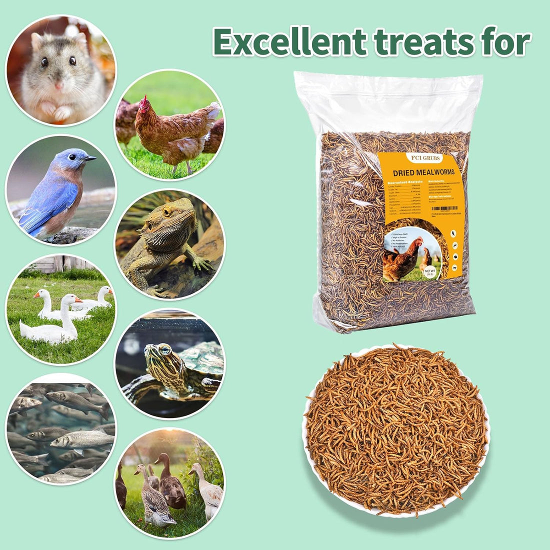 FCI GRUBS Dried Mealworms 5LB-High Protein Chicken Feed,More