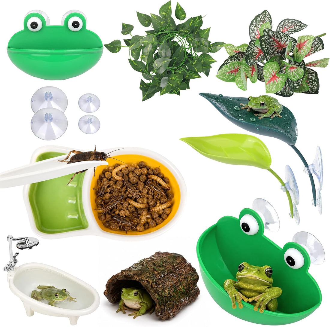 Frog Tank Accessories Set – Complete Tree Frog Habitat Kit