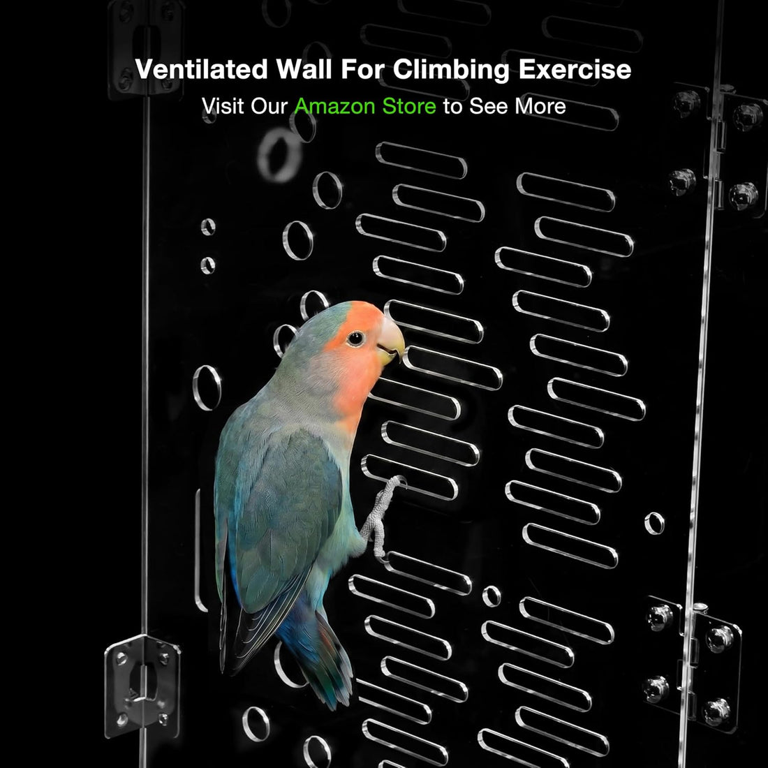 GuineaLoft™ Model-ET223 Crystal Clear Acrylic Bird Cage