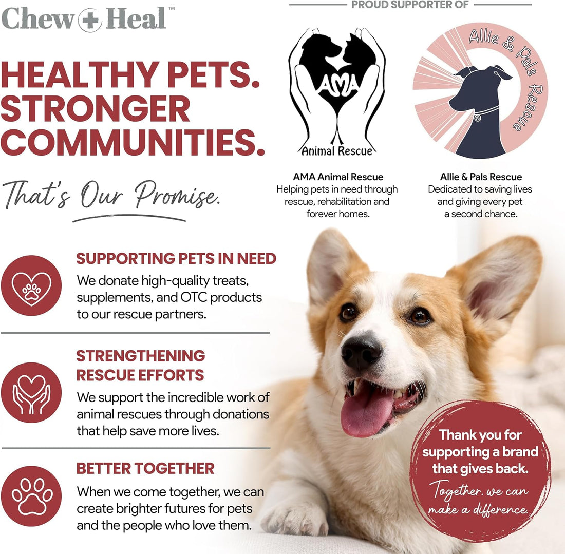 Dog UTI Treatment Cranberry Supplement for Dogs, 120 Soft Chews