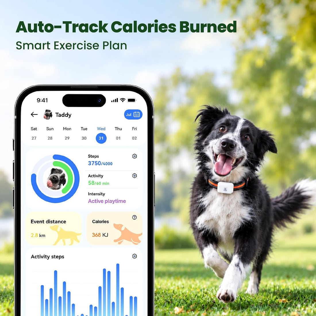 Dog Tracker GPS, Real Time Tracking & Virtual Fence 1-Year Service