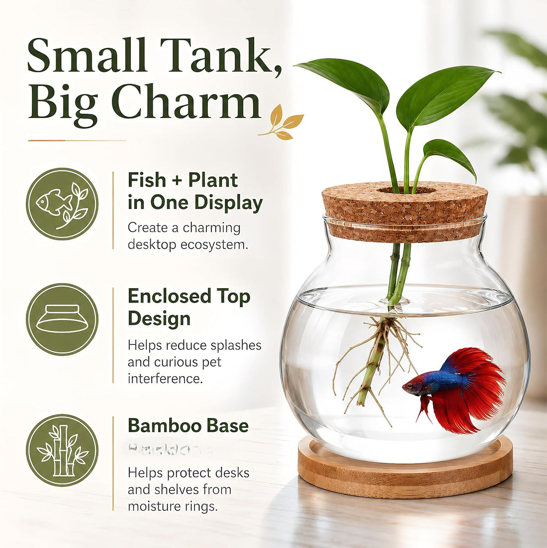 Healifty Desktop Fish Bowl, Glass Hydroponic Planter Tank Kit 5. 1 X