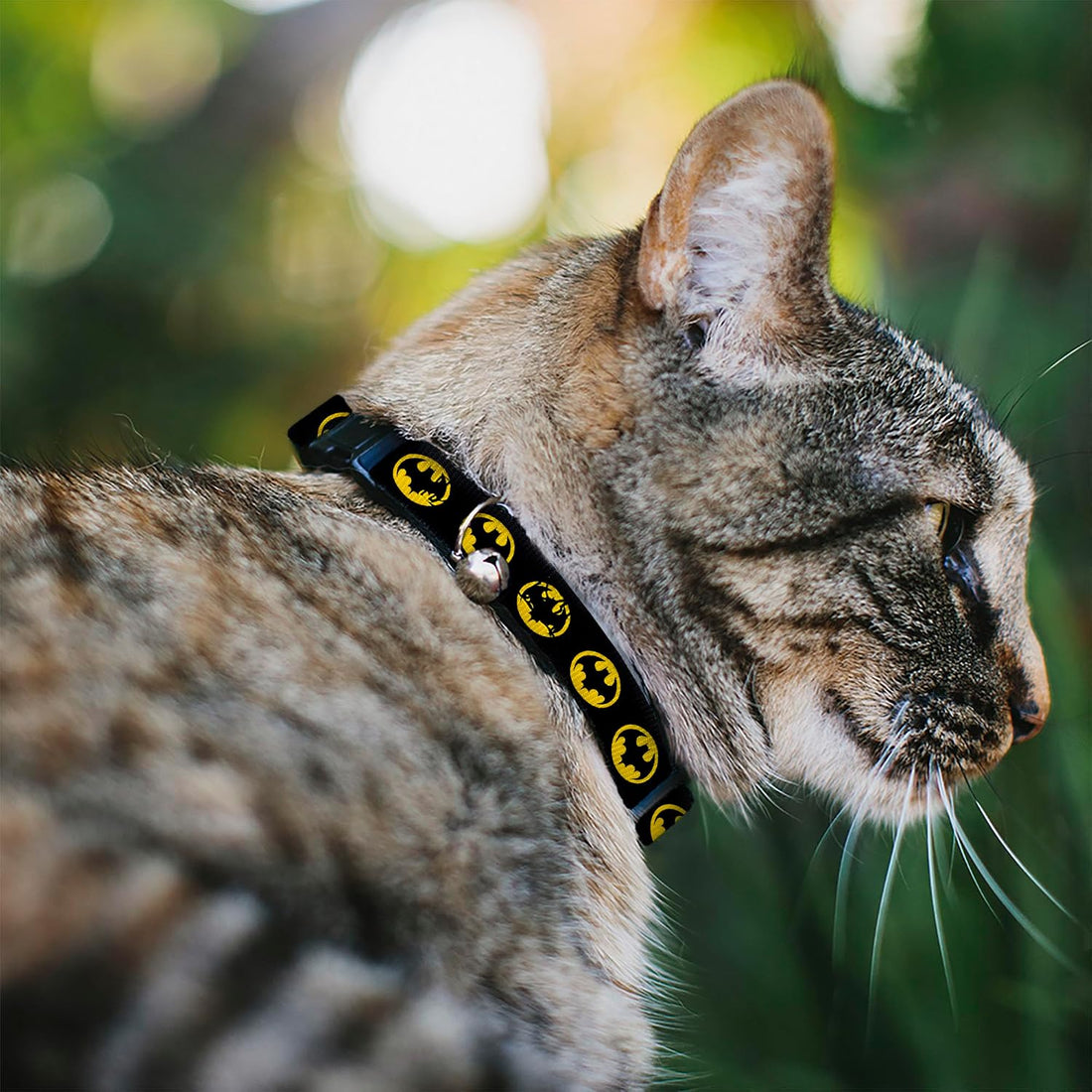 DC Comics Breakaway Cat Collar