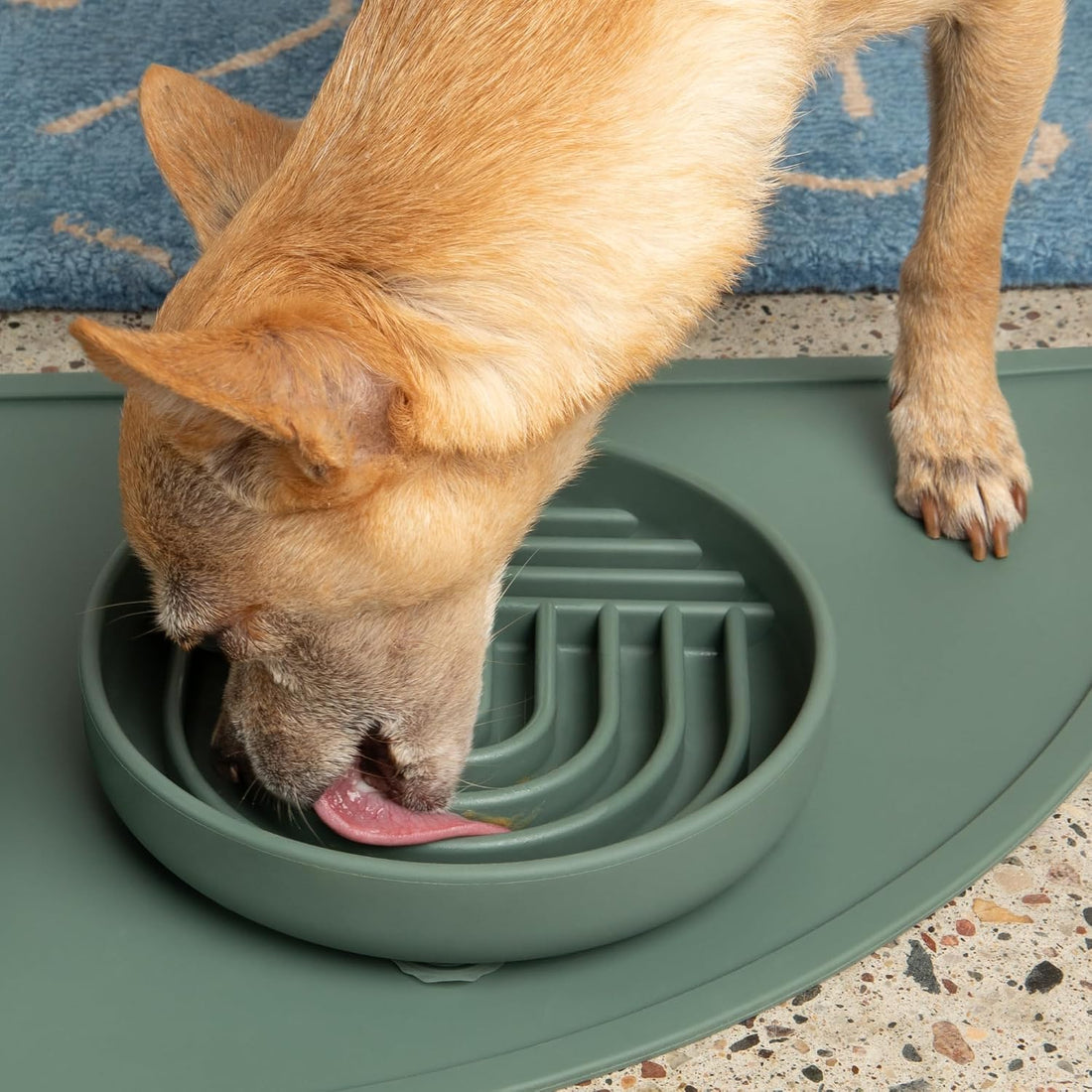 Slow Feeder Dog Bowl - Silicone Dog Bowl, Small, 6" x 1.25"