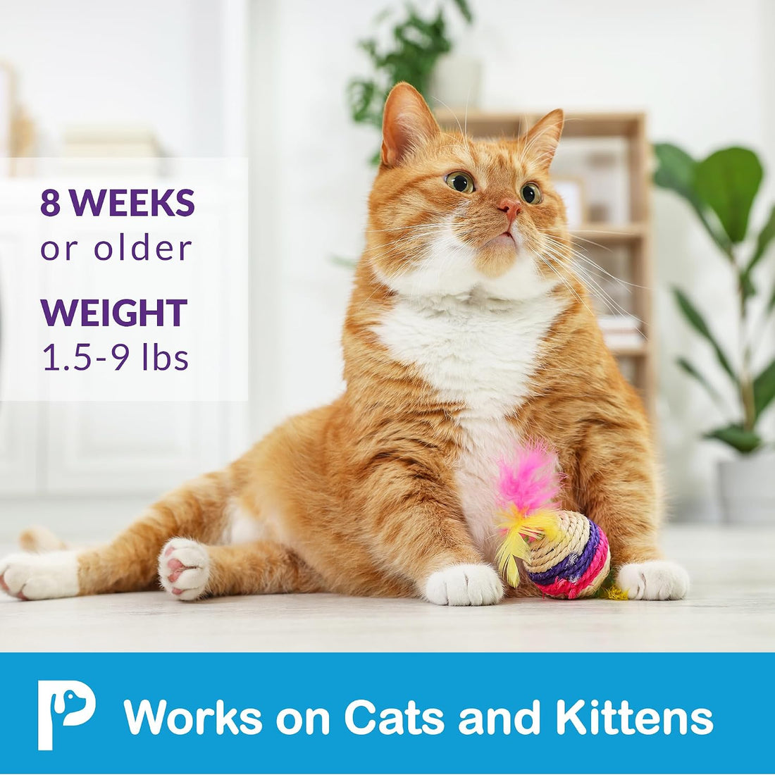 Topical Flea and Tick for Cats & Kittens