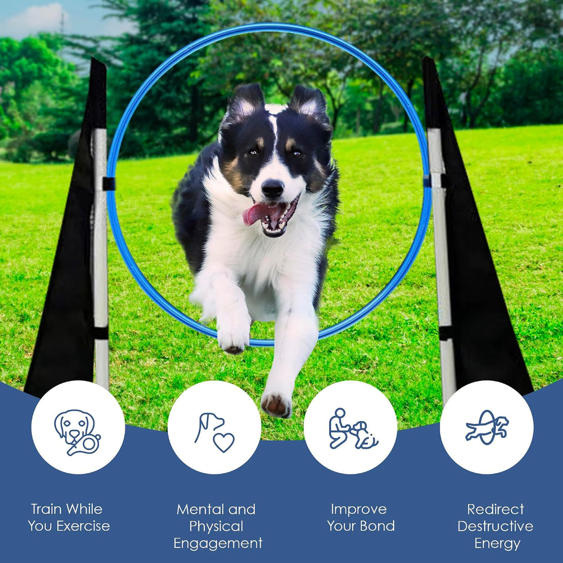 Dog Agility Course Backyard Set, Dog Agility Equipment, Weave Poles