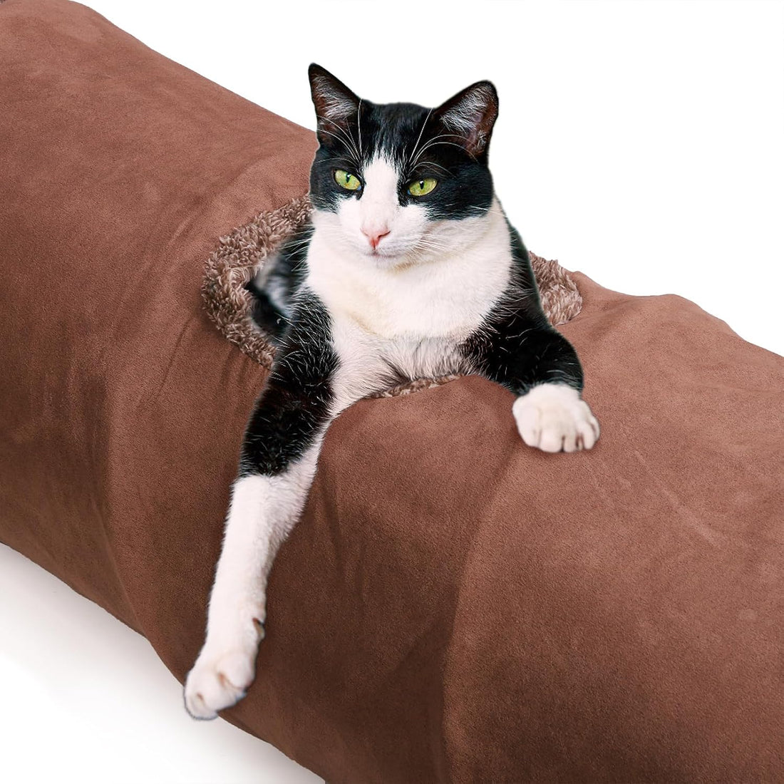 ZENFUN 51"x 12" Collasiple Cat Play Tunnel, Cats Tubes and Tunnels