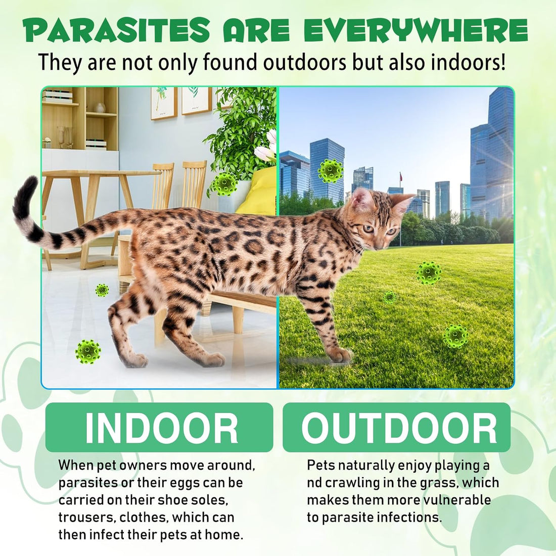 Specifically Formulated for Cats, Cats Natural Broad Spectrum