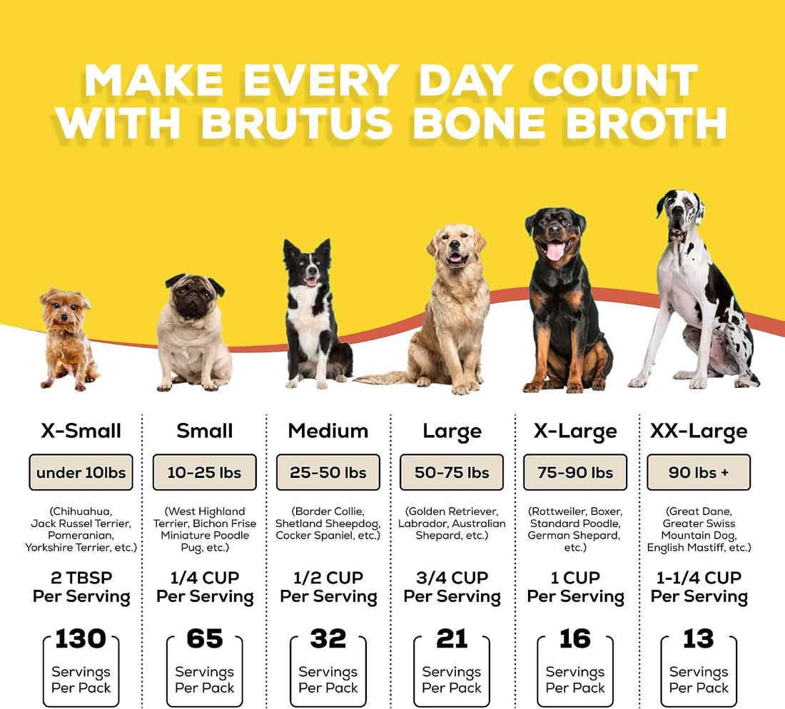 Brutus Broth Dog Food Topper - Instant Bone Broth Powder for Dogs