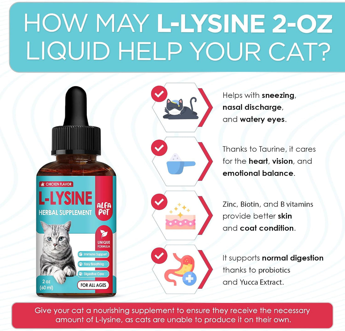 L Lysine for Cats with Taurine & Probiotic