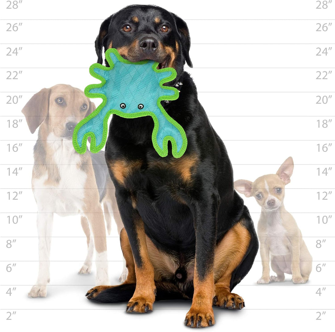 Tuffy® - DuraForce® Crab Ultra Durable Plush Dog Toy