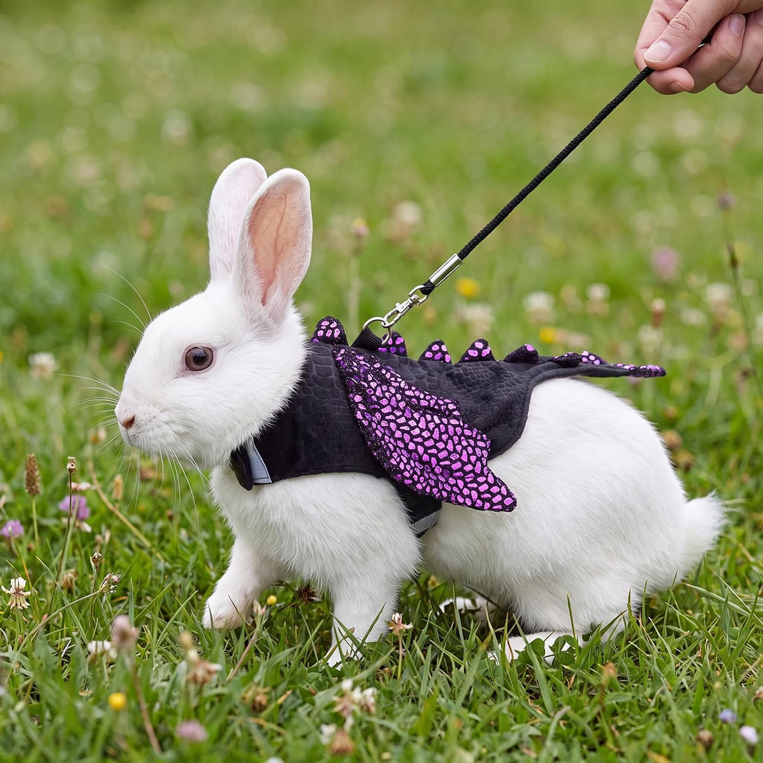 Dragon Halloween Costume for Rabbits with Leash, Bunny Vest