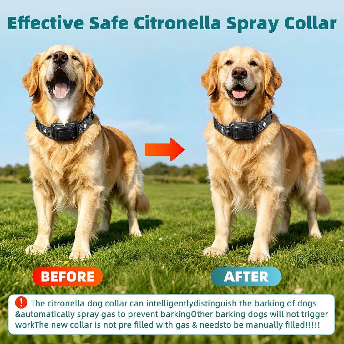 Citronella Bark Collar for Dogs, 3 Spray & 3 Sensitivity