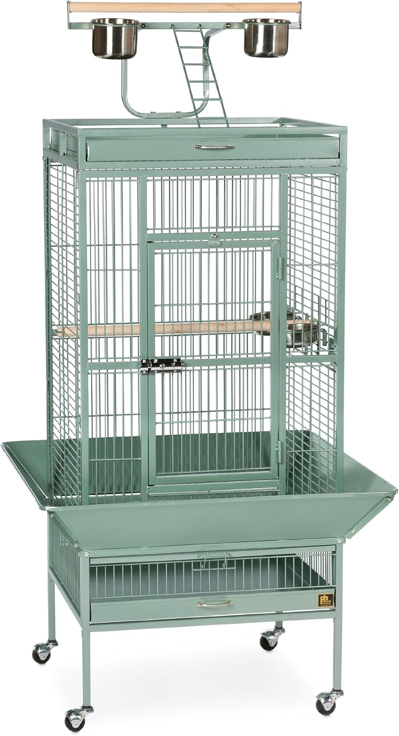 Prevue Pet Products Wrought Iron Select Bird Cage - L