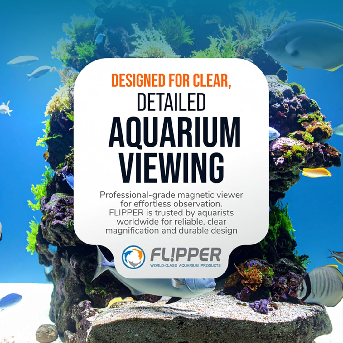Flipper Aquarium Magnifying Glass, DeepSee Magnetic Viewer. 4"