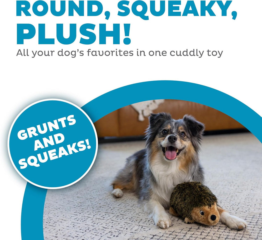 Outward Hound Hedgehogz Stuffed Dog Toy – Soft Plush Hedgehog