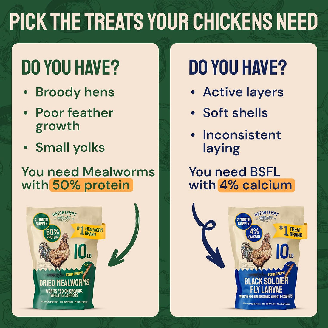 Hatortempt Bulk Dried Mealworms - 5 Lb Bag