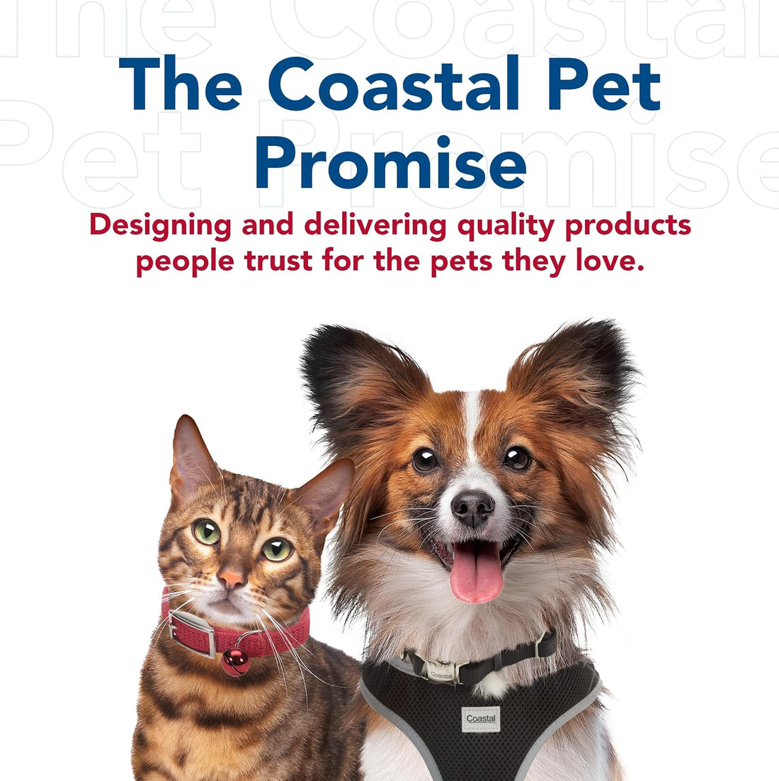 Coastal Pet Safari Dog Grooming Comb for Medium and Coarse Coats