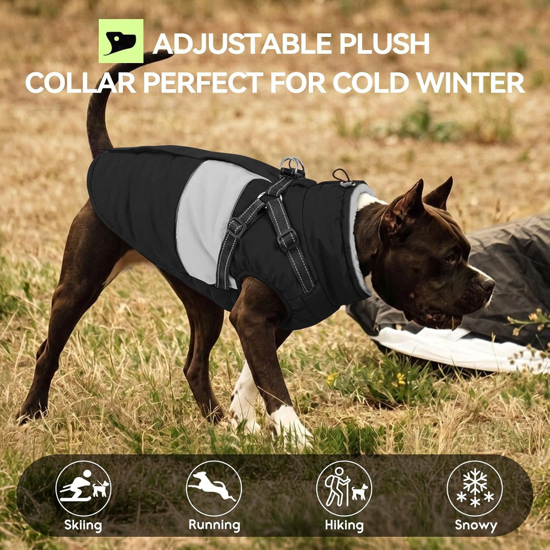 SUNFURA Small Dog Coat with Harness Built in
