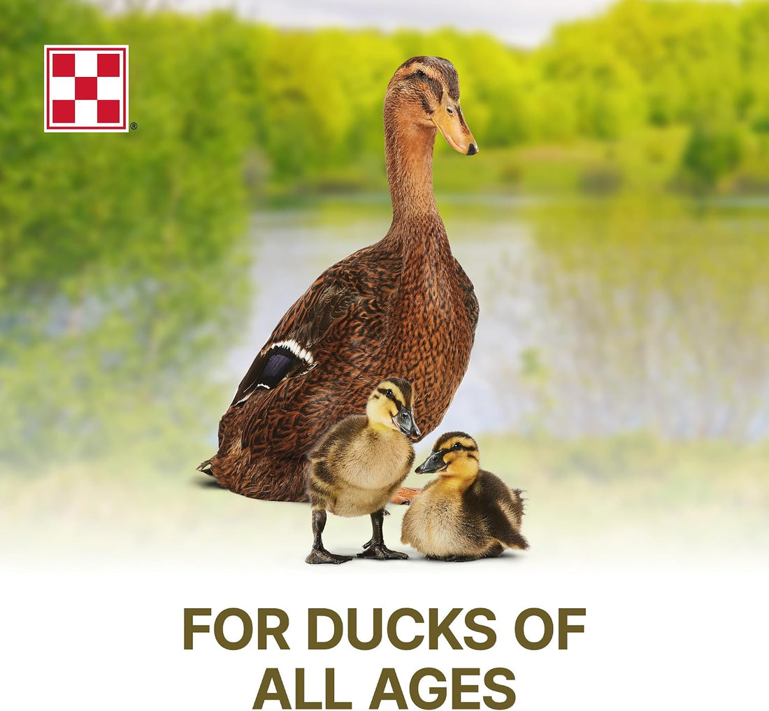 Purina | Nutritionally Complete Duck Feed for All Life-Stages