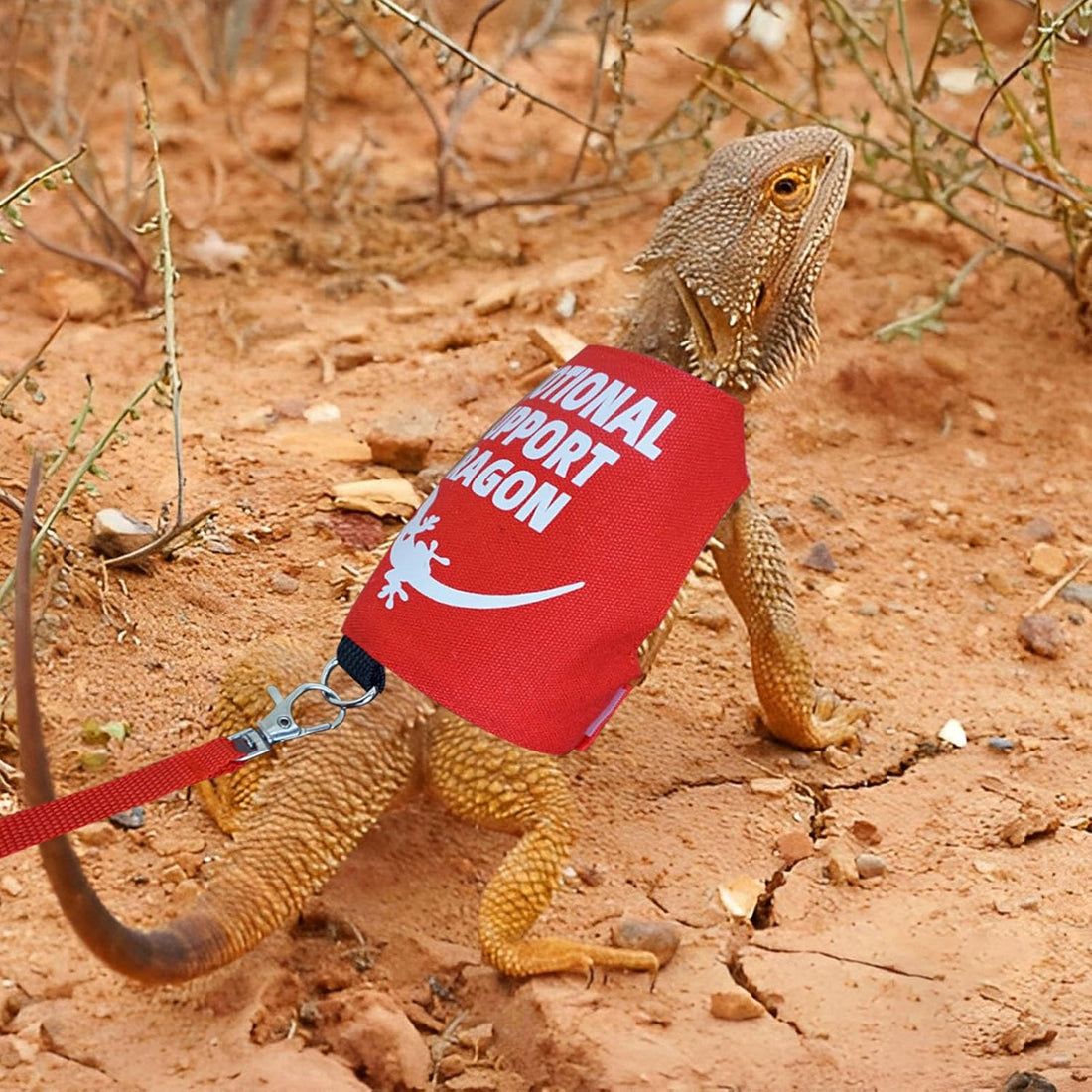Romansk Bearded Dragon Harness and Leash Set