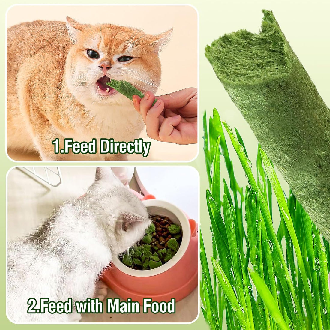 Freezed Drying Cat Grass Stick