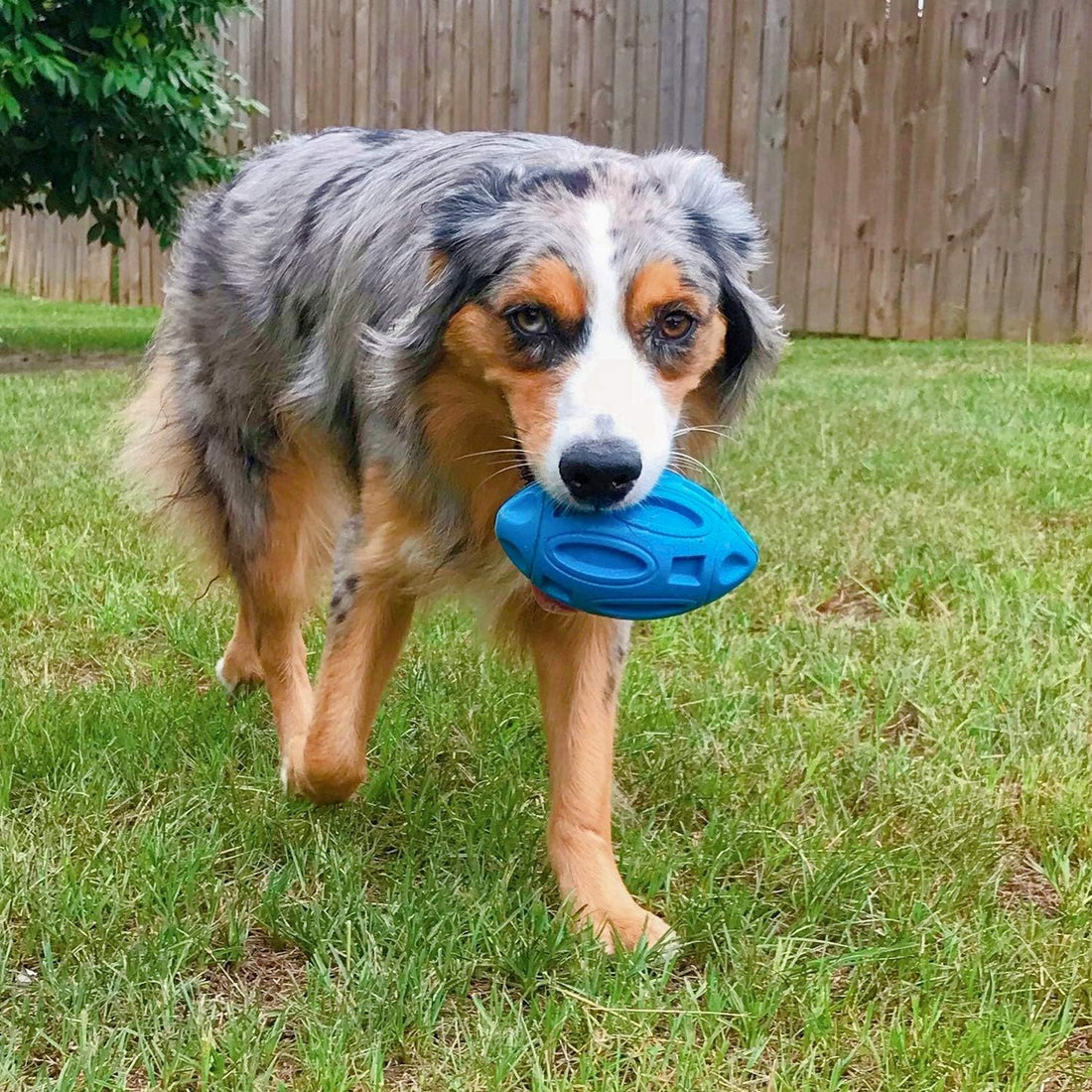 EASTBLUE Squeaky Dog Toys for Aggressive Chewers
