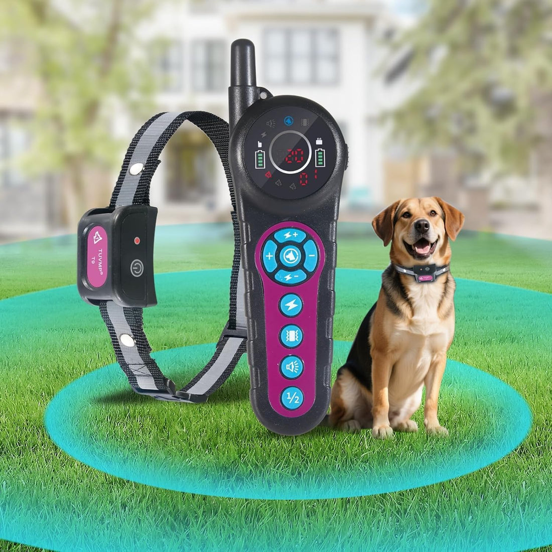 DOTSTAR Wireless Dog Fence Pet Electronic Training Collar 2-in-1