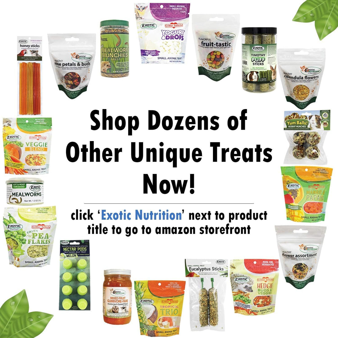 Exotic Nutrition Flower Treat 3 Pack - Healthy Assortment - Hibiscus