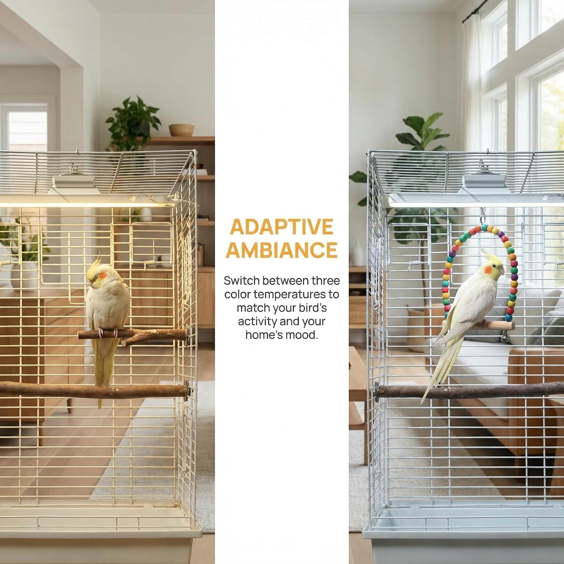 Bird Cage LED Light 3 Color Modes, USB Rechargeable