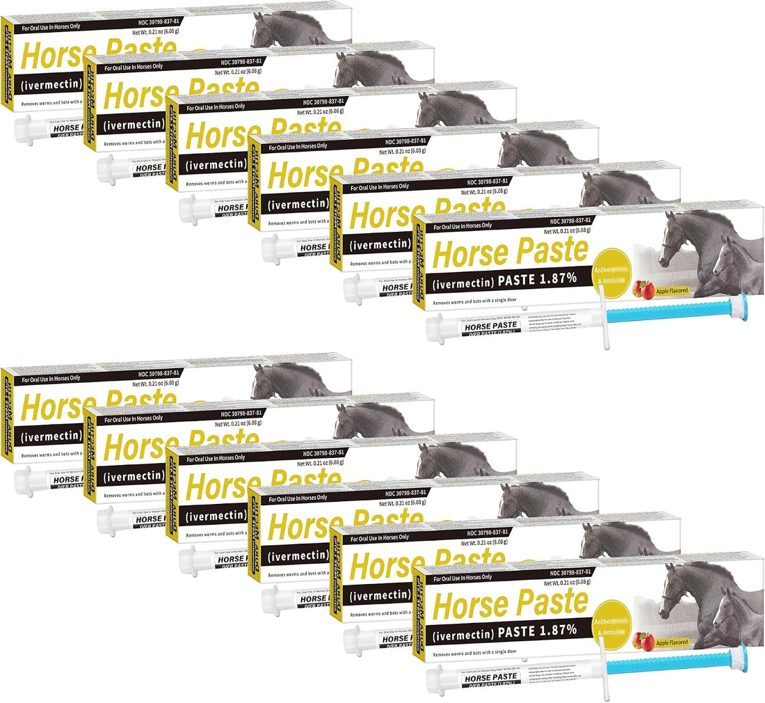 12 Pack Equine Paste 1.87% (6.08g Each)– Apple Flavored Oral for Horse