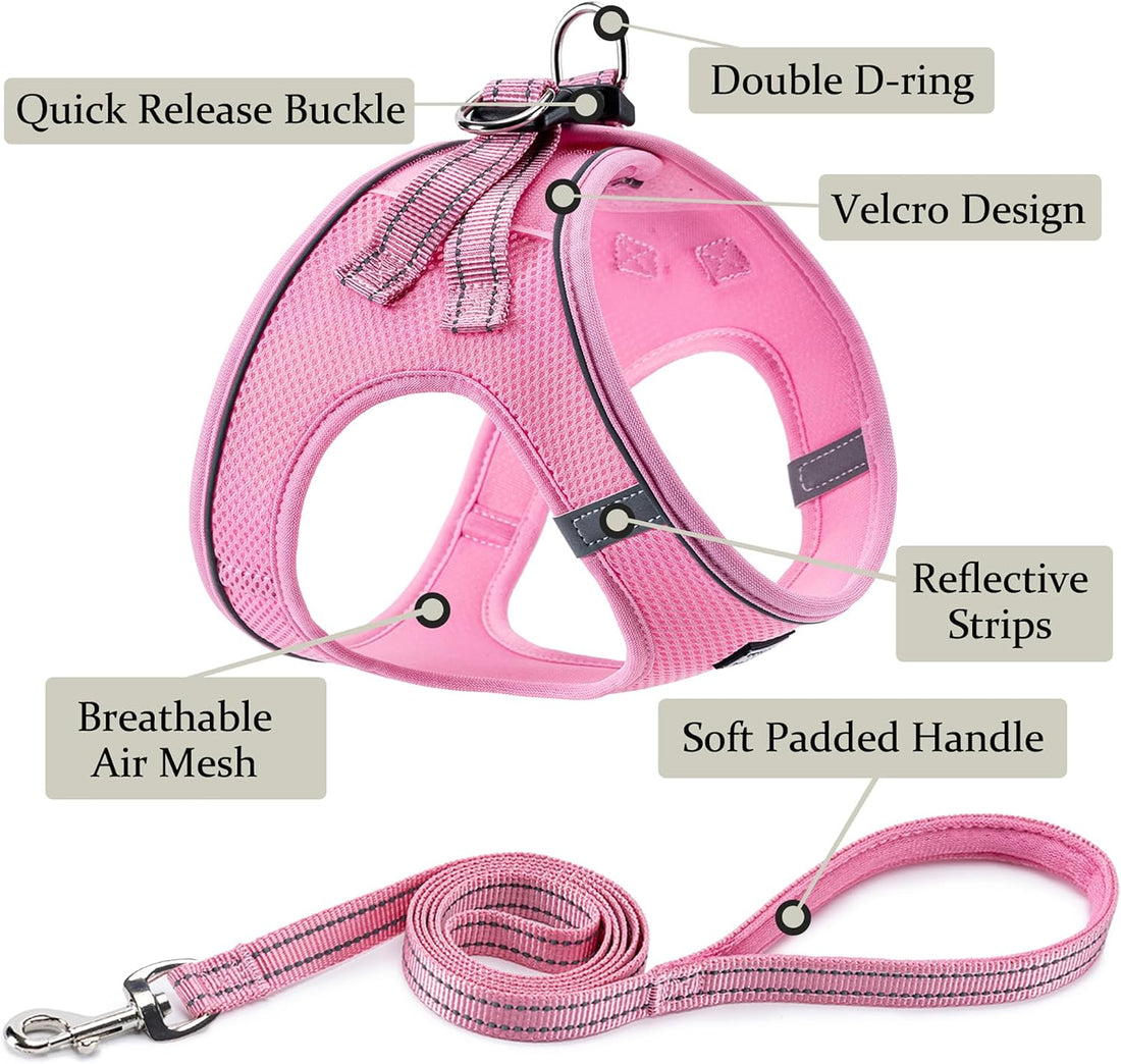 BOOMIBOO Dog Harness with Leash Set