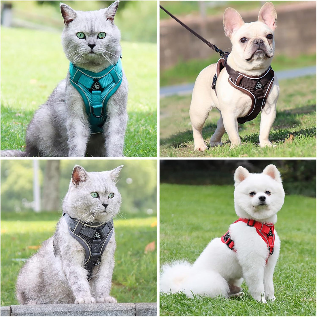 XL Cat Harness Escape Proof for Heavy Cats Adjustable for Extra Large