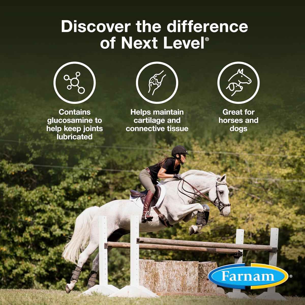 Farnam Next Level Joint Supplement for Horses & Dogs
