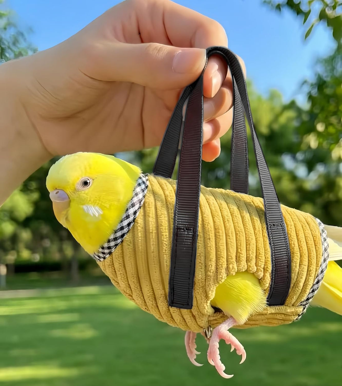 2Pcs Portable Bird Carrier Bag