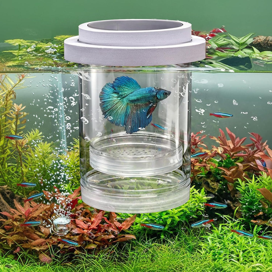 2 Pieces Breeder Box for Fish Tank, Floating Plastic