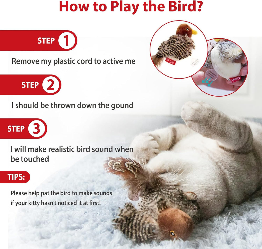 GiGwi Interactive Cat Toys Squeaky