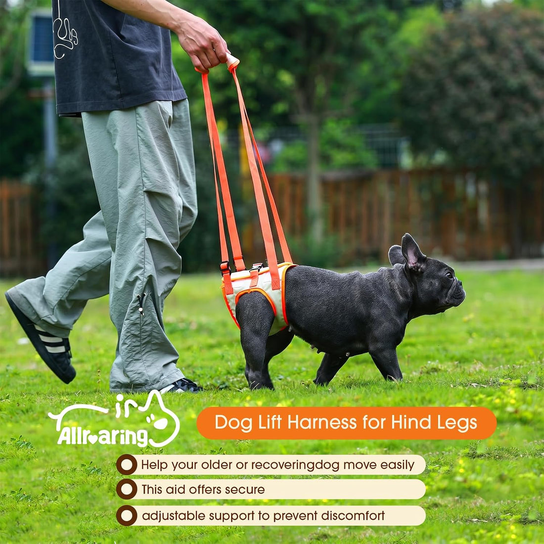 Allroaring Dog Lift Harness with Soft Pads, Orange, S