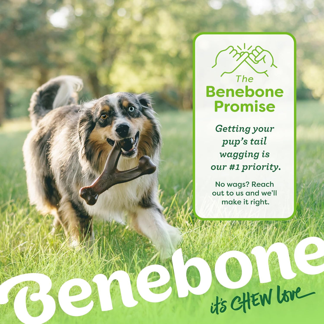 Benebone Wishbone Dog Chew Toy for Aggressive Chewers