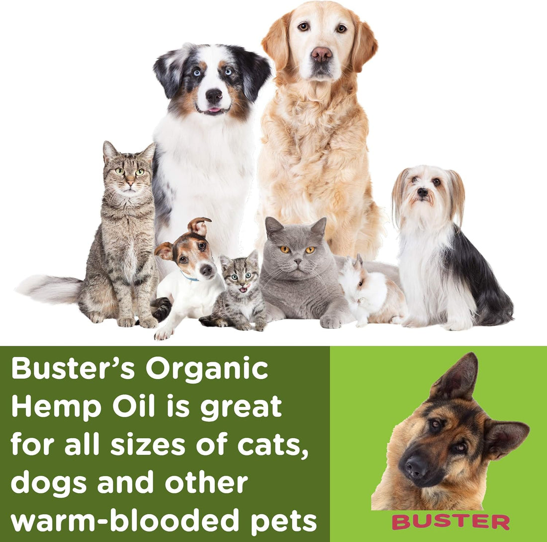 Buster's Hemp Oil for Dogs & Cats, Calm, Joint, Coat, 2-Pack 60ml