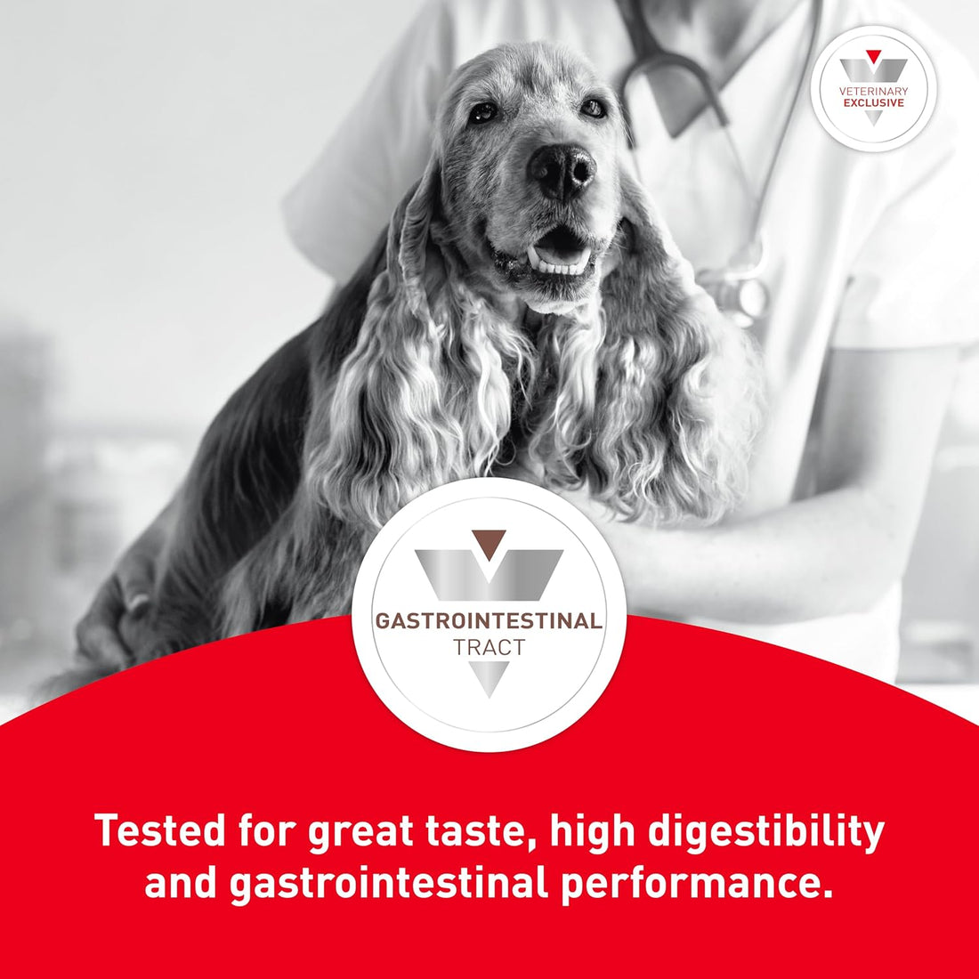 Royal Canin Veterinary Diet Canine Gastrointestinal LF Low Fat - 6.6lb